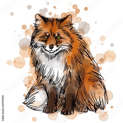 Vector illustration of red fox portrait with watercolor spots