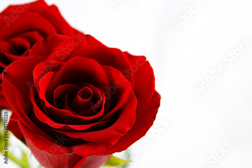 Fototapeta Naklejka Na Ścianę i Meble -  Detail of beautiful red roses