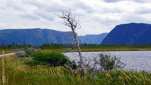 Western Brooke Pond photo