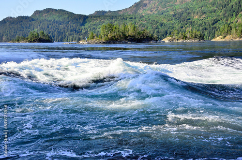 Skookumchuck Narrows