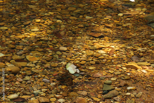 Beautiful in nature and small rocks are in the clear water of a Than Mayom Waterfall, Thailand. scenic relaxing scenery photo