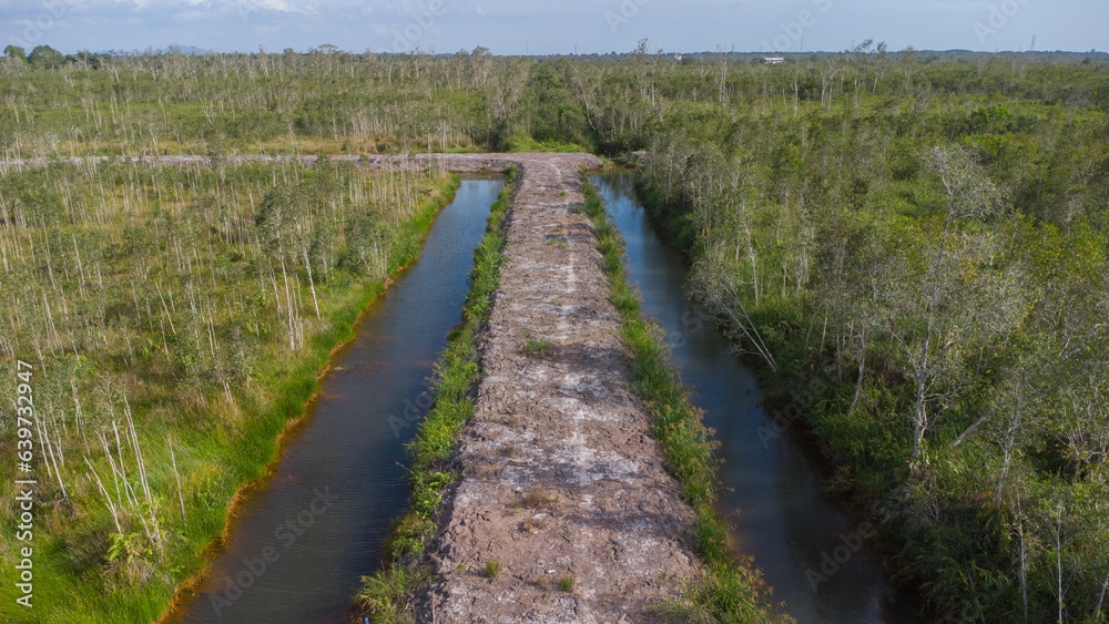Aerial view of a ditch made to drain water surrounding an area of dry looking mangrove forest Aerial view of a ditch made to drain water surrounding an area of dry looking mangrove forest