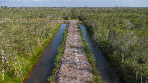 Aerial view of a ditch made to drain water surrounding an area of dry looking mangrove forest