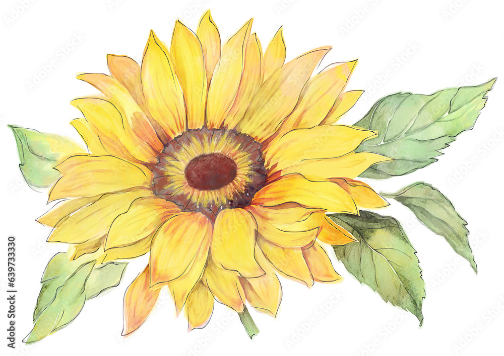 Naklejka premium Sunflower Watercolor on White Background. Digital Illustration.