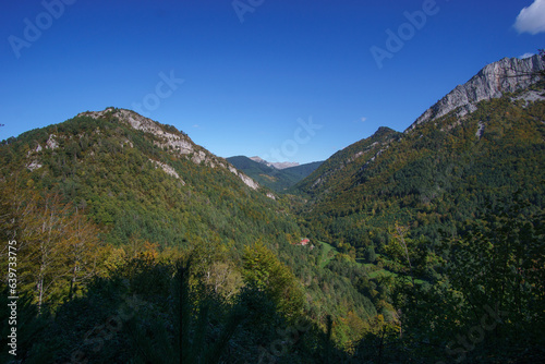 Mountain landscape in Pyrenees Mountains with forest during autumn near Isaba, Navarre, Spain