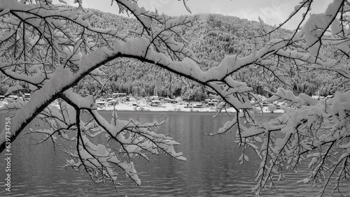 余呉湖, 雪, 降雪, 雪景色, 湖面, 枝,集落,山,山裾,山麓,光,冬,早朝,寒さ,滋賀県,長浜市,湖北,湖北地方,厳冬,積雪