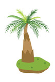Palm Tree Illustration In Flat Style Isolated In White Background. Tropical Summer Plant Illustration. 
