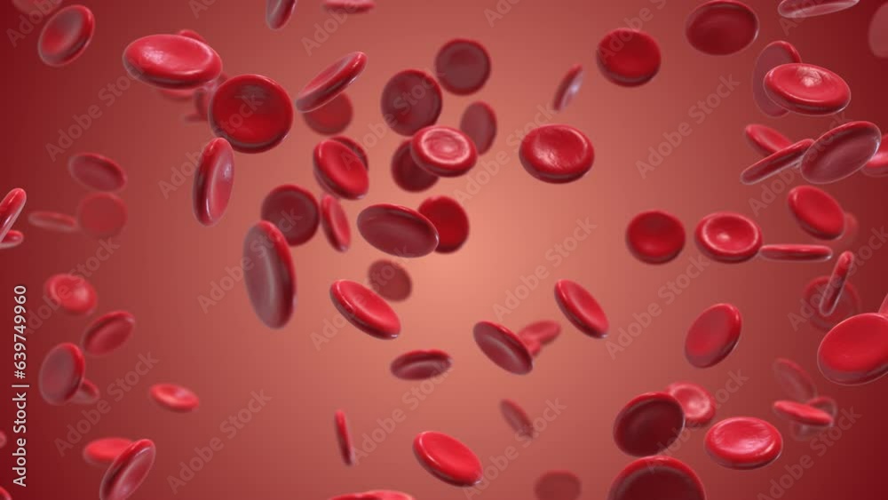 Blood cells moving through vein Blood cells moving through vein