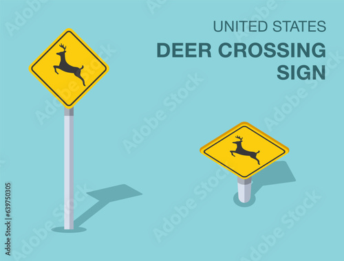 Traffic regulation rules. Isolated United States deer crossing sign. Front and top view. Flat vector illustration template.