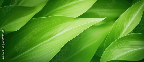 Background of green nature leaf in garden at spring summer seasons. Generative AI