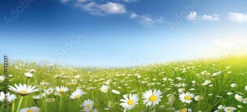 Background of landscape summer spring flowers green grass field agains blue sky  Generative AI