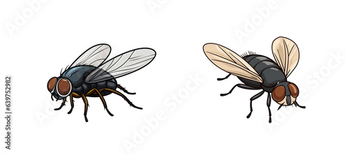 Set of housefly insects.png isolated on a transparent background generative AI. © hani