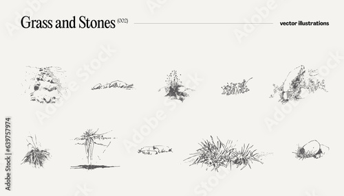 High detail hand drawn vector illustration of grass and stones, realistic drawing, sketch
