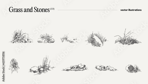 High detail hand drawn vector illustration of grass and stones, realistic drawing, sketch