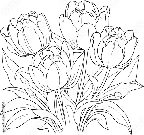 Tulips