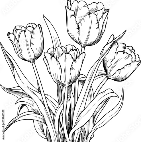 Tulips