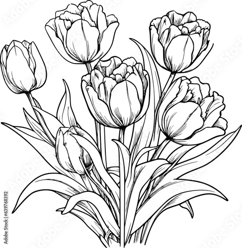 Tulips