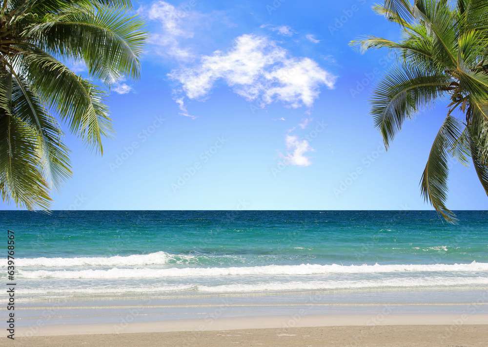 Palm tree on tropical beach with blue sky and white clouds background. Copy space of summer vacation and business travel concept design