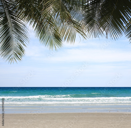 tropical beach and sand with coconut palm leaves for summer background design
