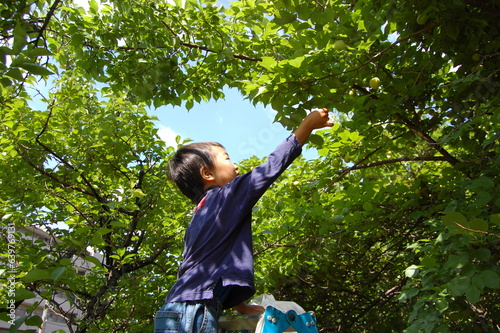 child in the forest