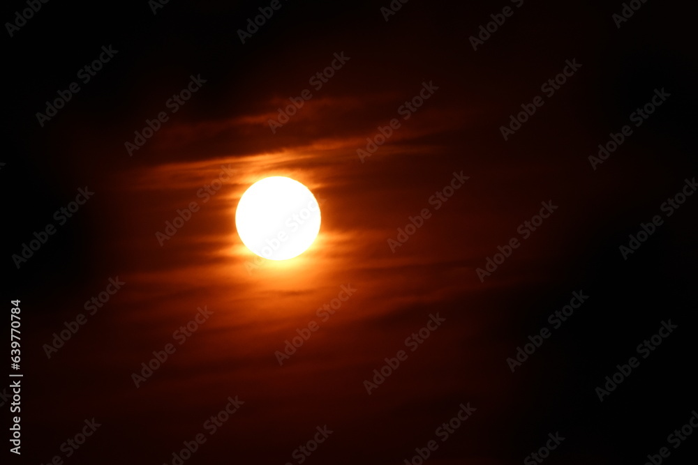 Dark yellow moon in the night sky with branches of forest trees and clouds on a summer night