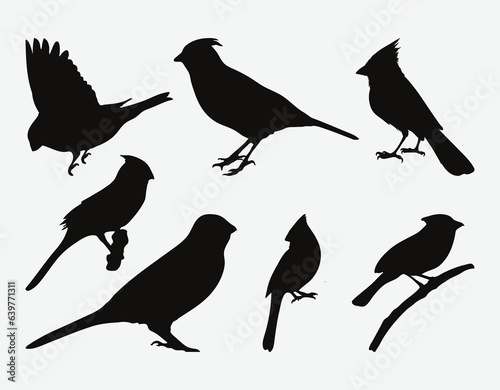 Graceful Silhouettes of Northern Cardinals, A Collection of Elegantly Rendered Cardinal Bird Forms