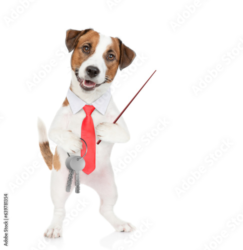  Jack russell terrier puppy wearing tie bow and eyeglasses holds in his paw the keys to a new apartment and points away on empty space. Isolated on white background © Ermolaev Alexandr