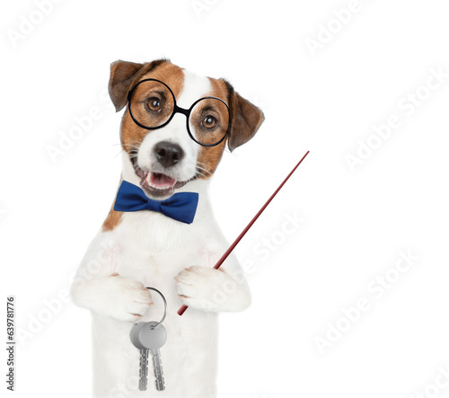 Jack russell terrier puppy wearing tie bow and eyeglasses holds in his paw the keys to a new apartment and points away on empty space. Isolated on white background © Ermolaev Alexandr
