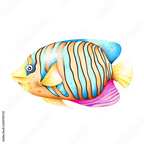colorful sea fish illustration