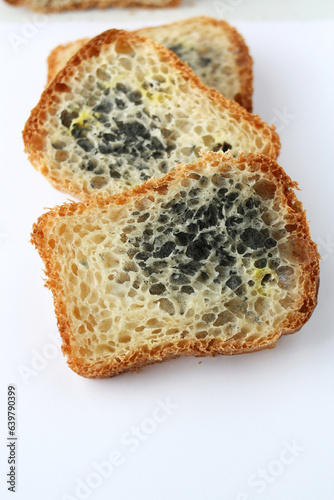 Pieces of bread in mold. Old moldy bread