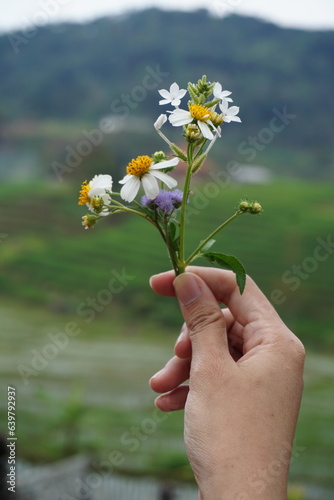 a woman's hand holding a flower arrangement
