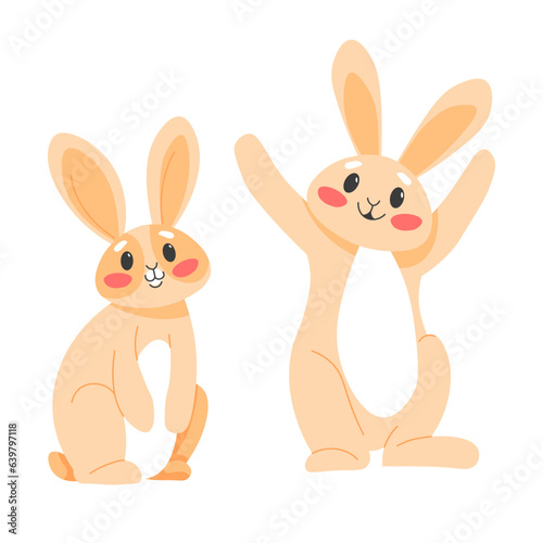 Cute rabbits, couple of hares or cheerful bunnies