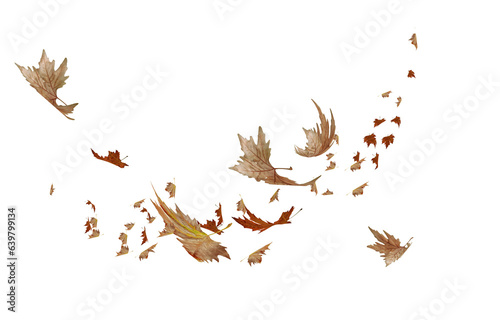 leaf leaves wind autumn moving weather background - 3d rendering