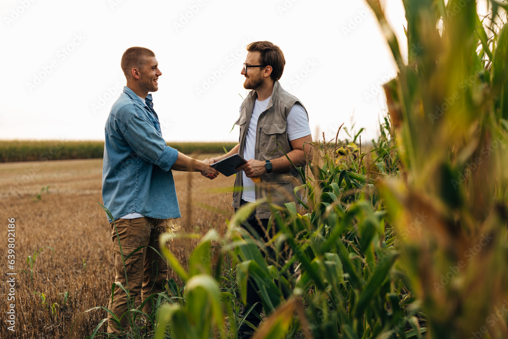 View form the corn field of two men shaking hands. View form the corn field of two men shaking hands.