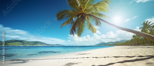 Tropical beach background with a palm tree on a bright sunny day.