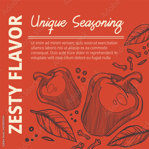 Unique seasoning, organic and zesty flavor vector