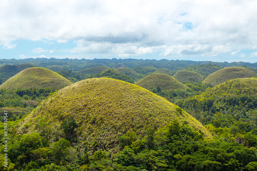 Amazingly shaped Chocolate hills on sunny day on Bohol island, Philippines
