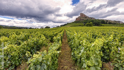 The Mâconnais is located in the south of Burgundy, it is the southernmost vineyard in the region.