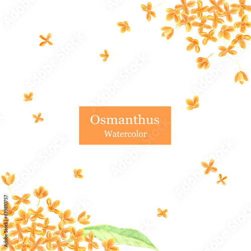 水彩で描いたキンモクセイのフレーム　ベクターイラスト
