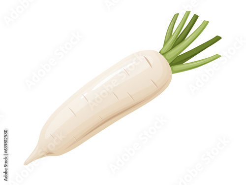 Daikon radish with green stem. Horseradish rhizome plant.
