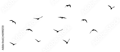 png flock of birds silhouette isolated on clear background 