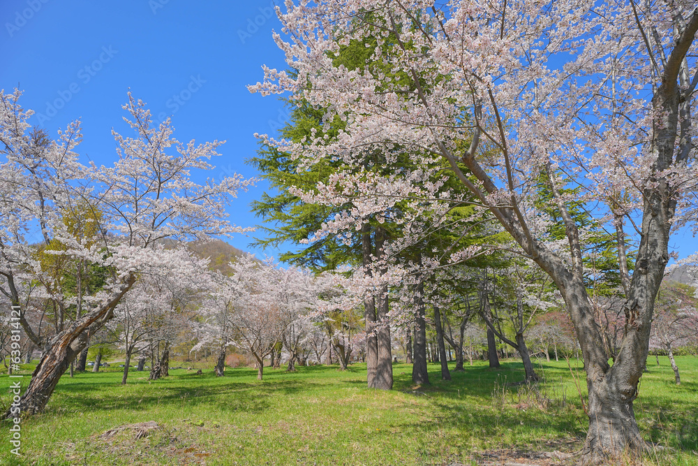 烏帽子岩公園