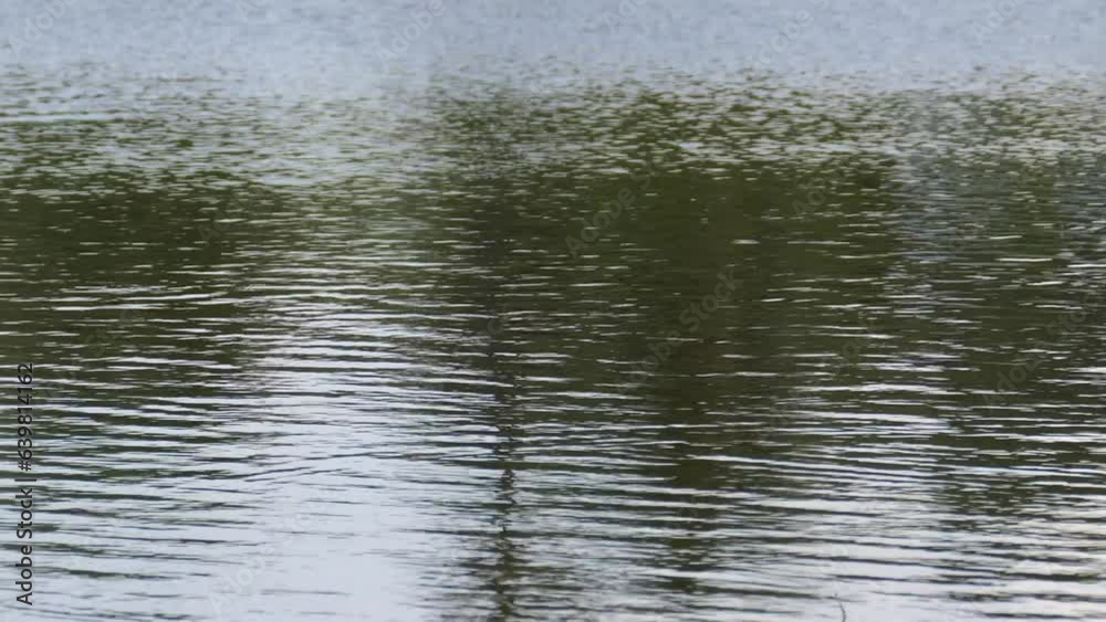 Pond water waves in day light Pond water waves in day light