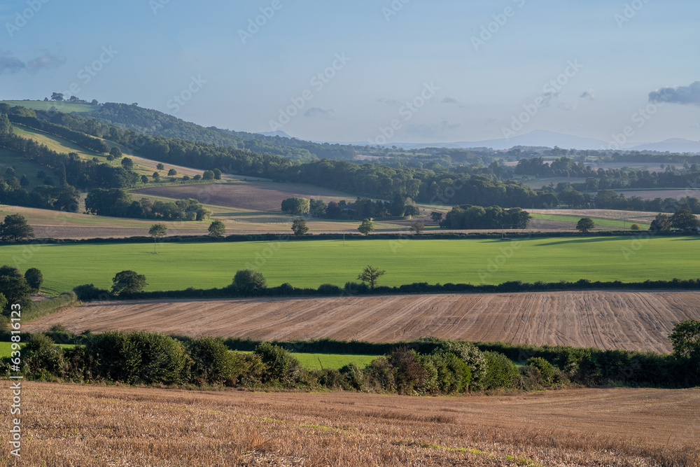 View over rolling english countryside at sunset in summer under blue sky