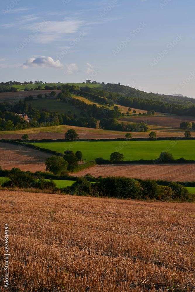 View over rolling english countryside at sunset in summer under blue sky with one cloud