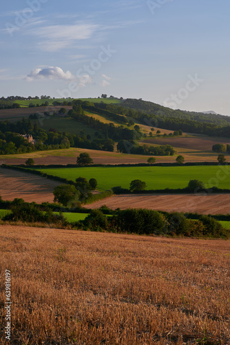 View over rolling english countryside at sunset in summer under blue sky with one cloud © London Time