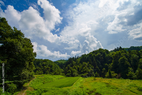 平田乃滝へ続く道