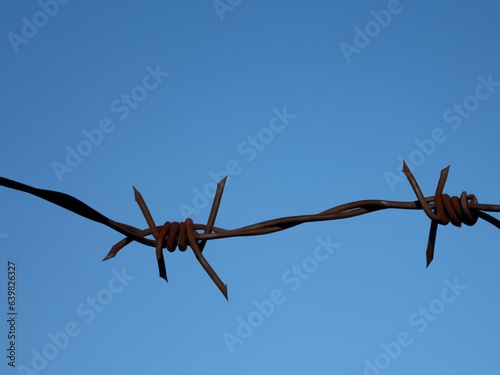 barbed wire against the sky