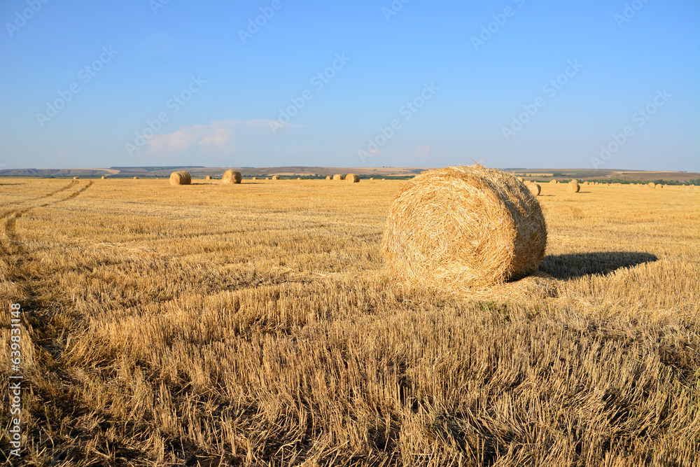 Fototapeta premium rolled haystack on the field with blue sky copy space