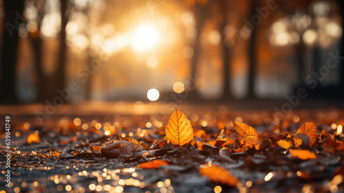 Autumn landscape in the forest, in the park, yellow and orange leaves, fall trees in the sunlight, background, wallpaper, generative AI